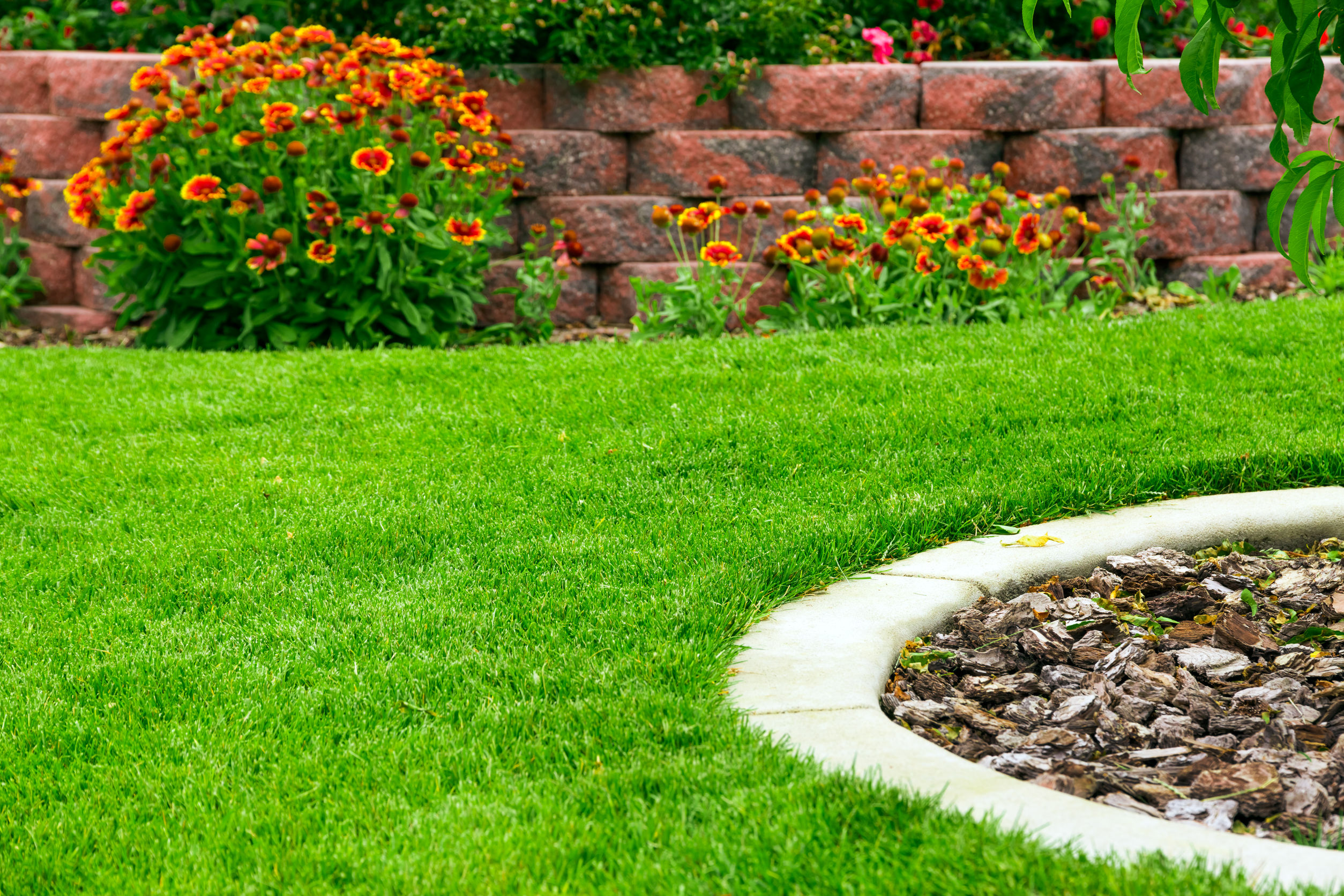 Things to Consider Before Hiring Hardscaping Companies in Frisco