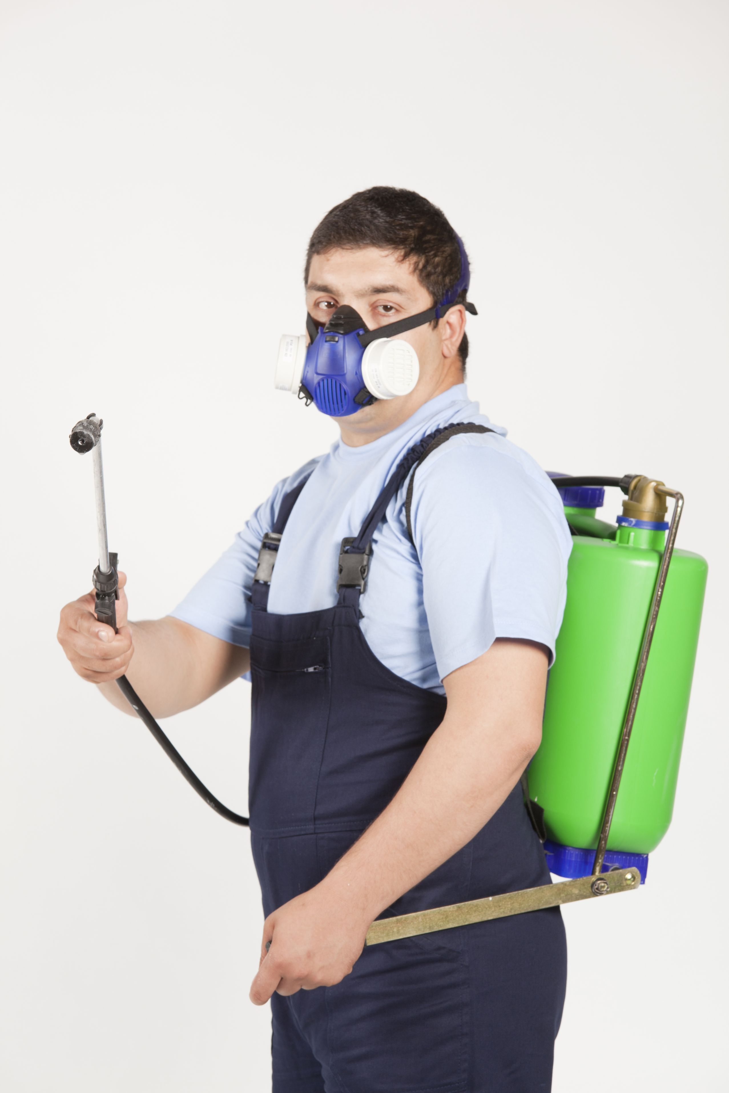 A Pest Management Service in Alexandria, VA Helps to Avoid the Perils of Mold