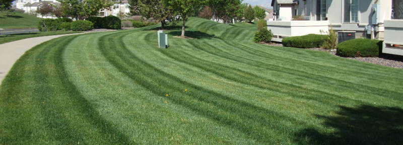 Call A Local Service Provider For Commercial Landscape in Boulder CO