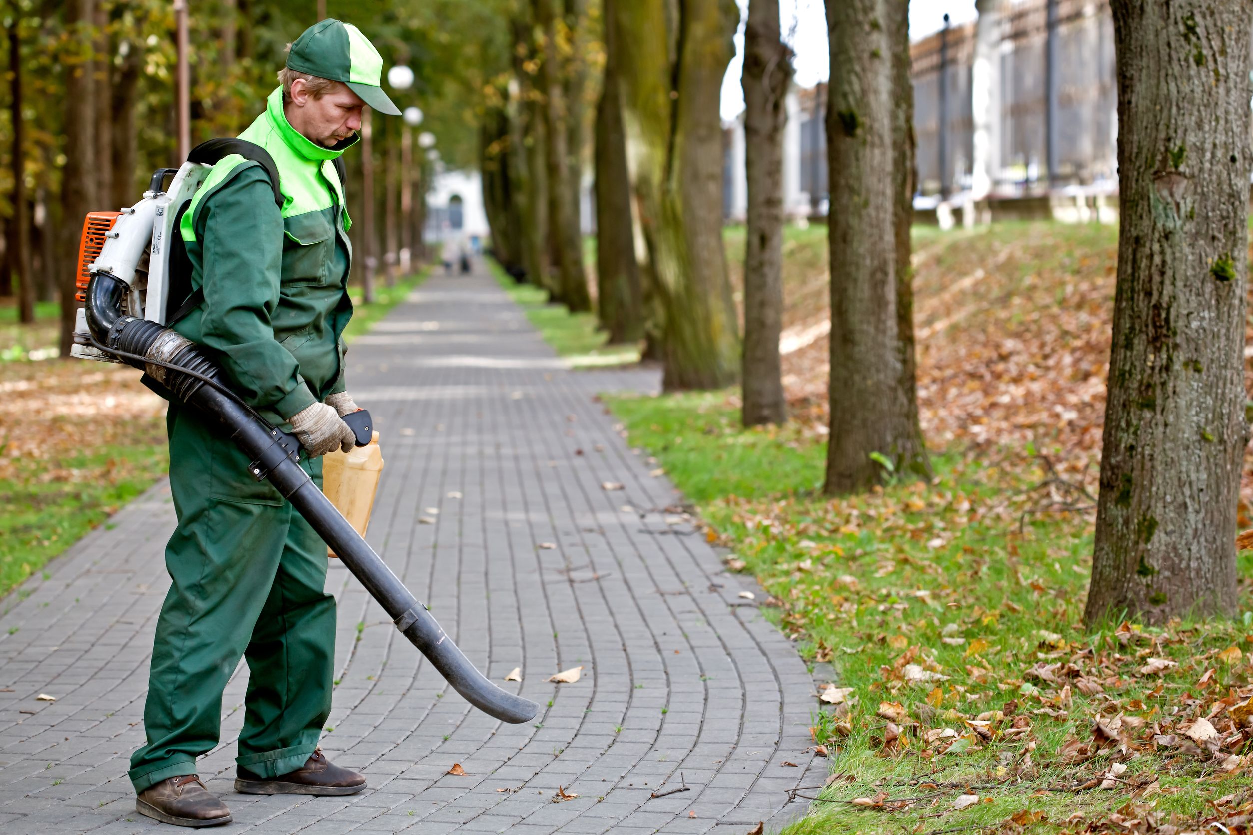 Importance of Pest Control Boulder, CO