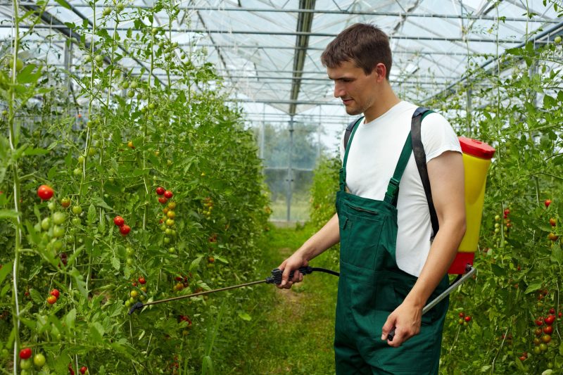 Outdoor Pest Control Longmont CO