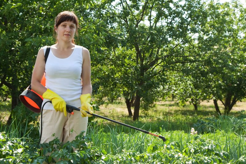 Contact a Weed Control in Spokane Today