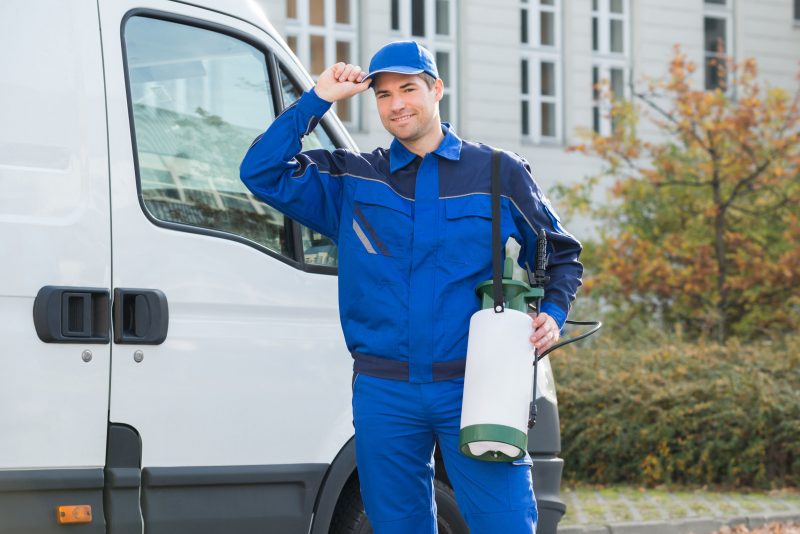 Pest Control Treatment in Lancaster, OH Ensures the Pests Stay Away