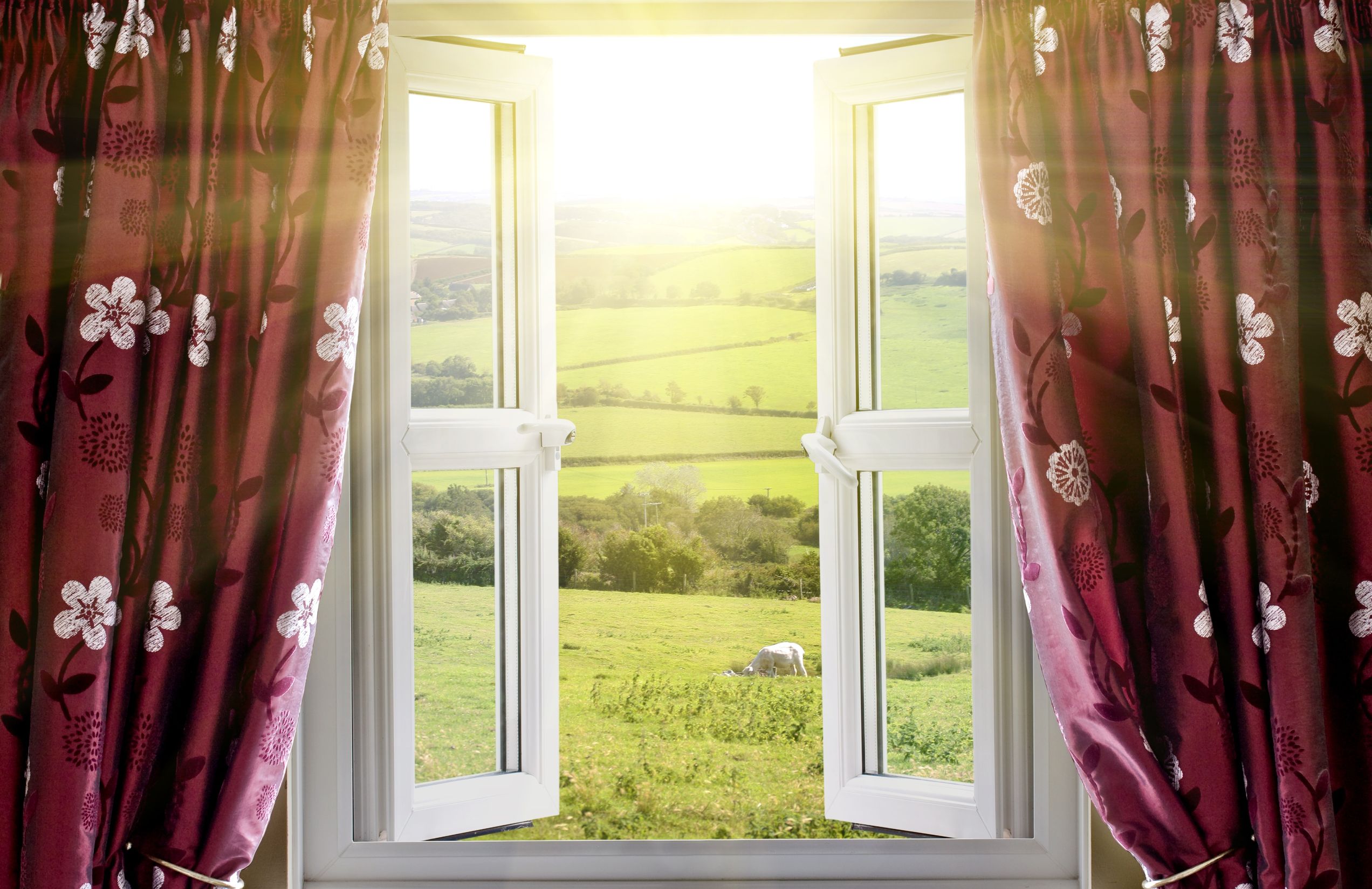 Factors That Motivate Homeowners to Arrange a Home Window Replacement