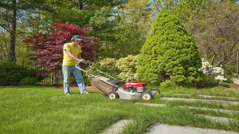 Improve your Grass with Lawn Aeration in Spokane