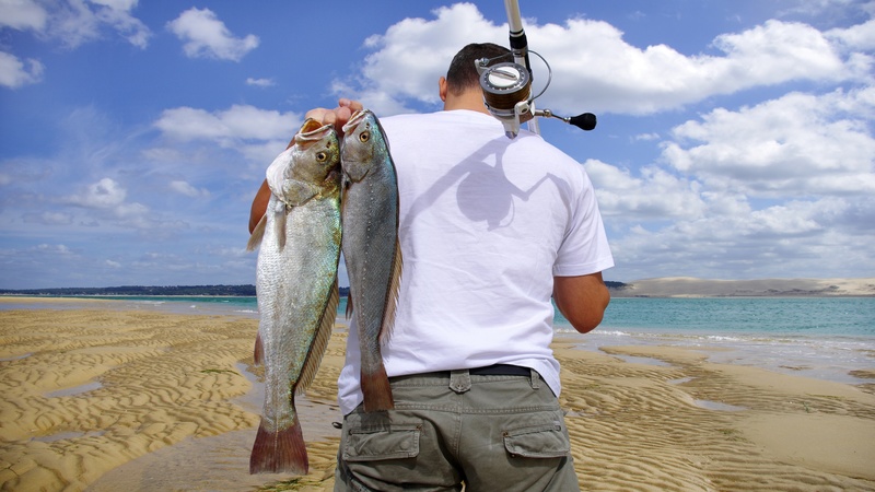 Marine Supply for Spearfishing and Fly Fishing Gear in Honolulu