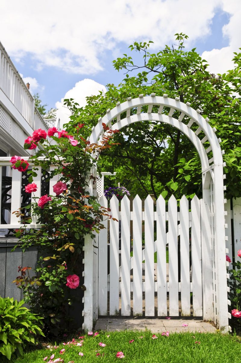 Three Tips For Atlanta Homeowners With Dogs Who Dig Under Fences And Run