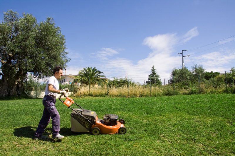 Landscaping Can Make Your Commercial Property Shine in Boulder, CO