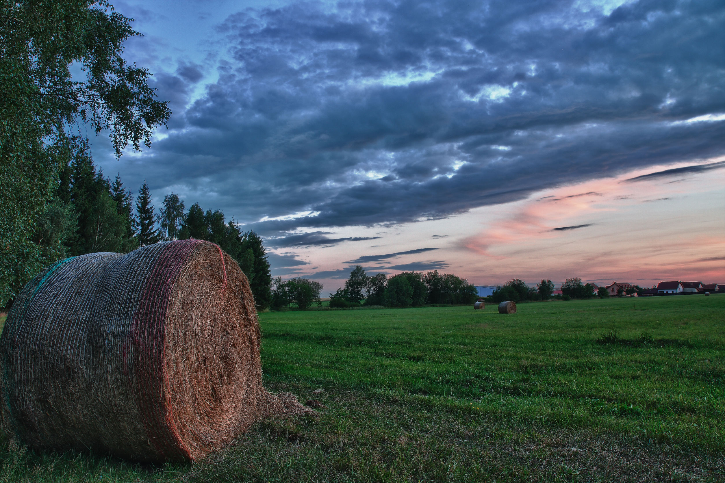 Searching for Farms for Sale in Worth County, IA