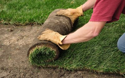 How to Prepare for Sod Installation in Groveland, FL