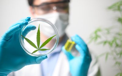 Is Cannabidiol (CBD) the Right Option for Me? (And How to Get Started)