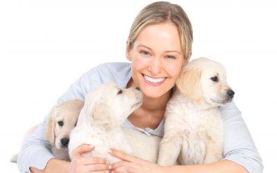 Why Choose Dog Cremation In Utah