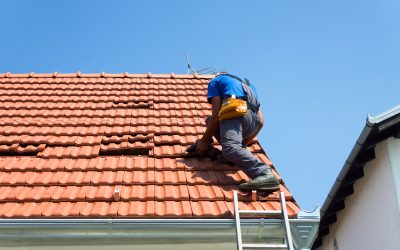 Protecting Your Haven: A Guide to Residential Roofing in Arkansas