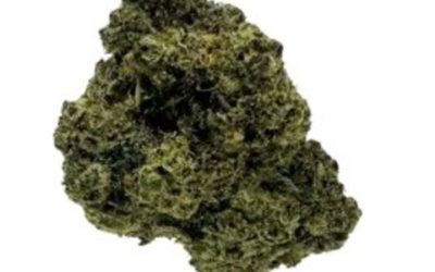 Buy THCA Flower in Nashville, TN: Your Guide to Local Dispensaries