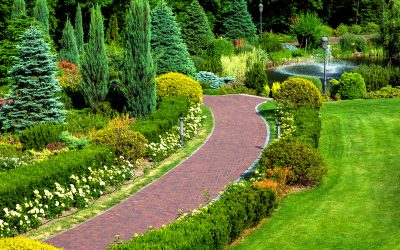 Enhancing Outdoor Spaces with Professional Landscape Service in Olympia