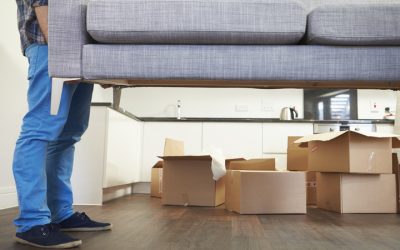 Seamless Residential Moving in Florida: Expert Tips for a Stress-Free Experience