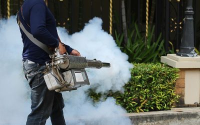 Pest Control Services in Naples, FL for Bees and Other Stinging, Flying Insects