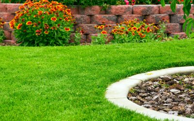 Beautify your property with custom landscaping services in Fresno, CA