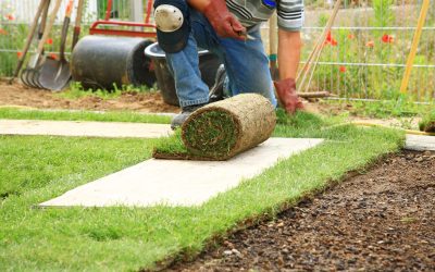 Enhancing Outdoor Spaces with Artificial Grass Installation in Benicia, CA