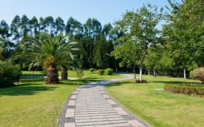 Keep your pavers looking new: Benefits of paver sealing in Fort Myers, FL